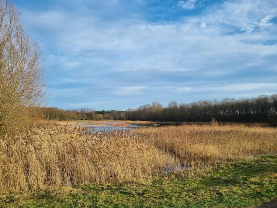 Luxe-avontuur In Romantische In Het Bos * Stekene